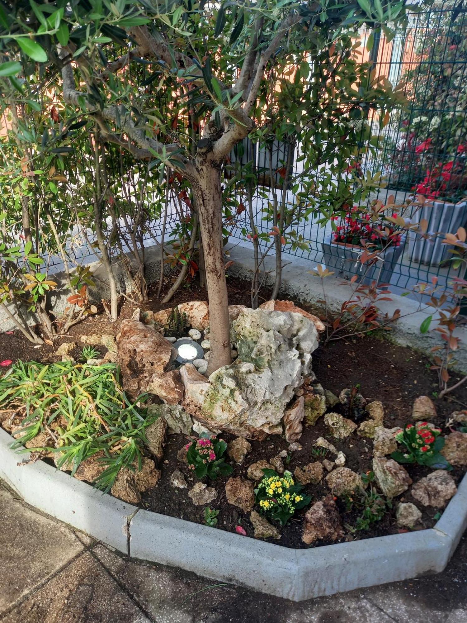 La Casa Di Piccoli Di Gabriele Martelli E Catia Pacetti - Appartamento Ancona Exterior foto